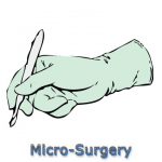 KANDARY NURSING HOME | KANDARY NURSING HOME | DR. KANDARY'S NURSING HOME | BEST NURSING HOME IN JAYNAGAR | NURSING HOME | JAYNAGAR MAJILPUR |