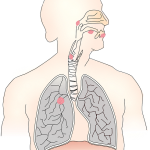 KANDARY NURSING HOME | KANDARY NURSING HOME | DR. KANDARY'S NURSING HOME | BEST NURSING HOME IN JAYNAGAR | NURSING HOME | JAYNAGAR MAJILPUR |