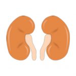 KANDARY NURSING HOME | KANDARY NURSING HOME | DR. KANDARY'S NURSING HOME | BEST NURSING HOME IN JAYNAGAR | NURSING HOME | JAYNAGAR MAJILPUR |