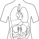 KANDARY NURSING HOME | KANDARY NURSING HOME | DR. KANDARY'S NURSING HOME | BEST NURSING HOME IN JAYNAGAR | NURSING HOME | JAYNAGAR MAJILPUR |